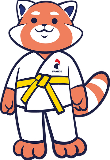JUDO 4-6 ans 