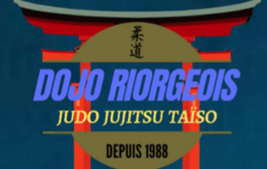 Tournoi de Riorges Dimanche 9 Novembre 2025