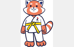 JUDO 4-6 ans