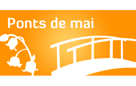 Sondage présence Judo Pont de Mai 2026